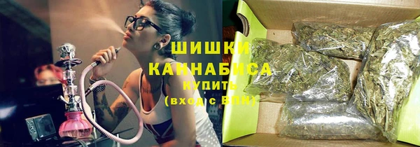 молекула духа Осинники