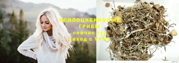 ешки Абинск