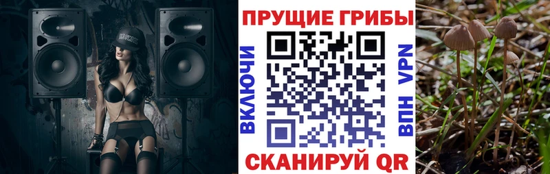 даркнет сайт  Шиханы  Псилоцибиновые грибы мицелий 